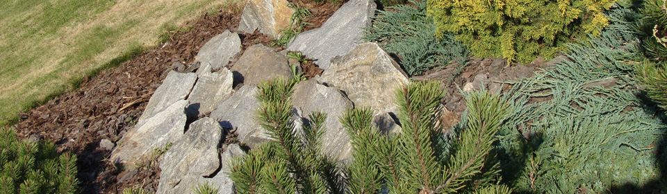Pinus Ogrody - kamień, ogrody, brukarstwo