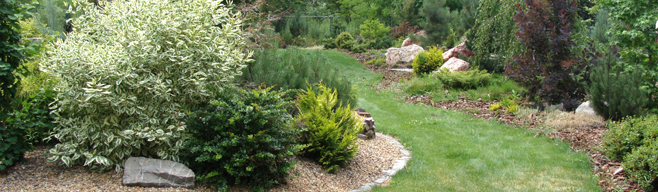 Pinus Garden - stone, garden, paving