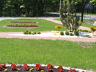 www.pinus.pl - stone, garden, paving