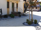 www.pinus.pl - stone, garden, paving