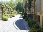 www.pinus.pl - stone, garden, paving