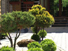 www.pinus.pl - stone, garden, paving