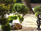 www.pinus.pl - stone, garden, paving