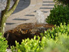 www.pinus.pl - stone, garden, paving