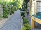 www.pinus.pl - stone, garden, paving