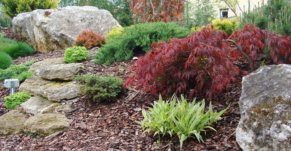 Pinus Garden - stone, garden, paving